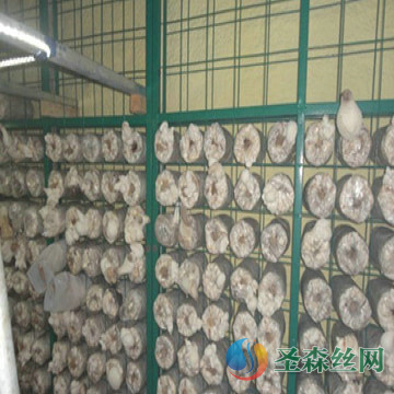 養殖網片案例